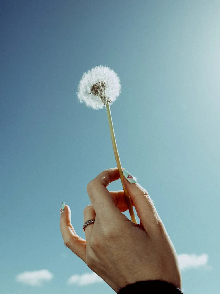 A person's hand gently holds a dandelion against a bright blue sky, symbolizing hope and nature.